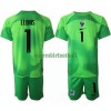 Maillot de Gardien France Hugo Lloris 1 Extérieur Coupe du Monde 2022 Pour Enfant